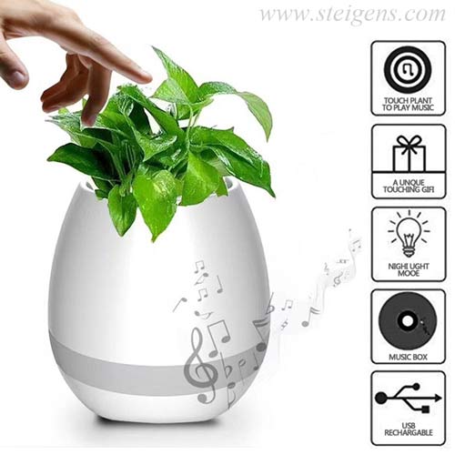 3 in 1Music Flowerpot