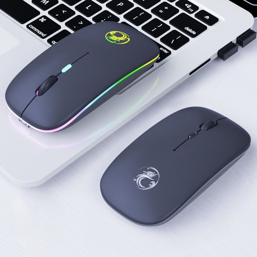 [STMK 23175] Wireless mouse Light up model