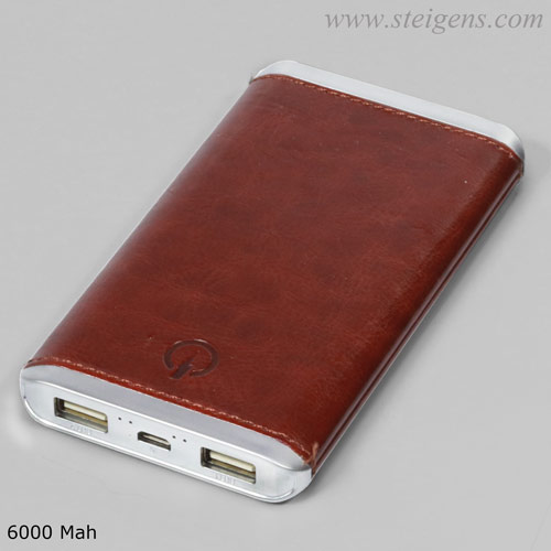 [STAM 118-01] Power Bank