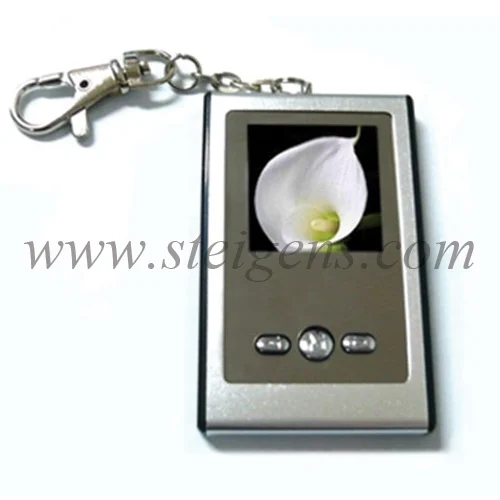 [SDPF-P11] Digital Photo Frame P11